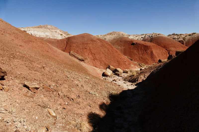 Onyx Bridge [Petrified Forest National Park]