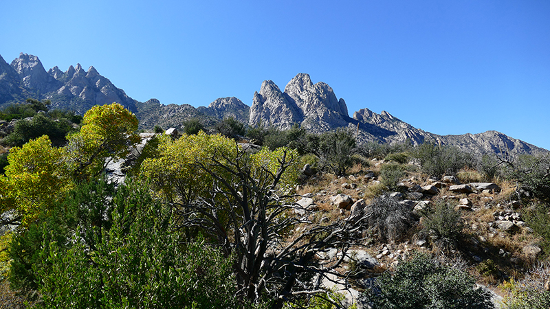 Organ Mountains [Organ Mountains National Recreation Area] - Pine Tree Loop Trail