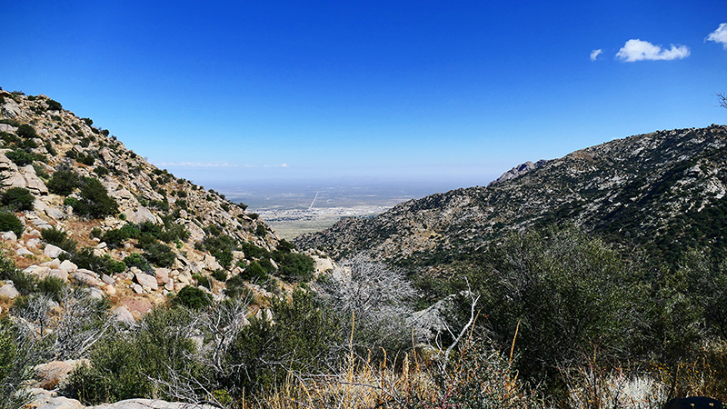 Organ Mountains [Organ Mountains National Recreation Area] - Pine Tree Loop Trail