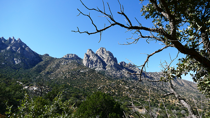 Organ Mountains [Organ Mountains National Recreation Area] - Pine Tree Loop Trail