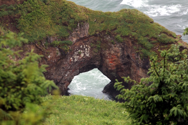 Otter Crest Arch [V20-23]