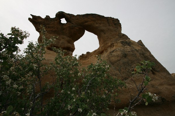 Outcrop Arch