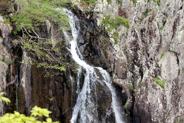 Overall Run Falls [Shenandoah National Park]