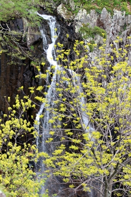 Overall Run Falls [Shenandoah National Park]