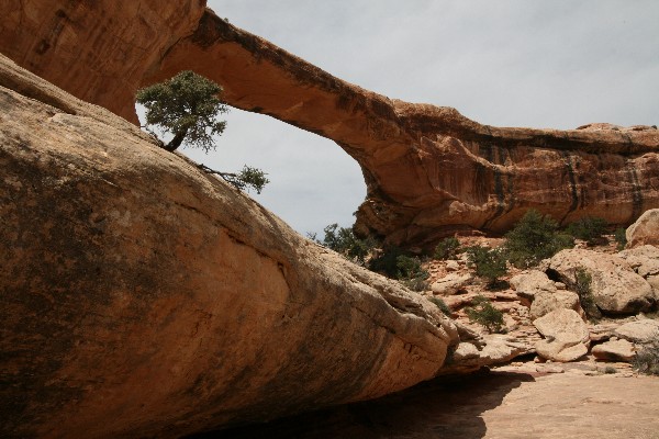 Owachomo Natural Bridge