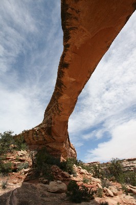 Owachomo Natural Bridge