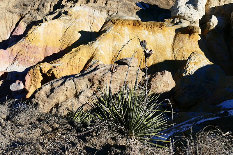 Paint Mines Calhan Colorado