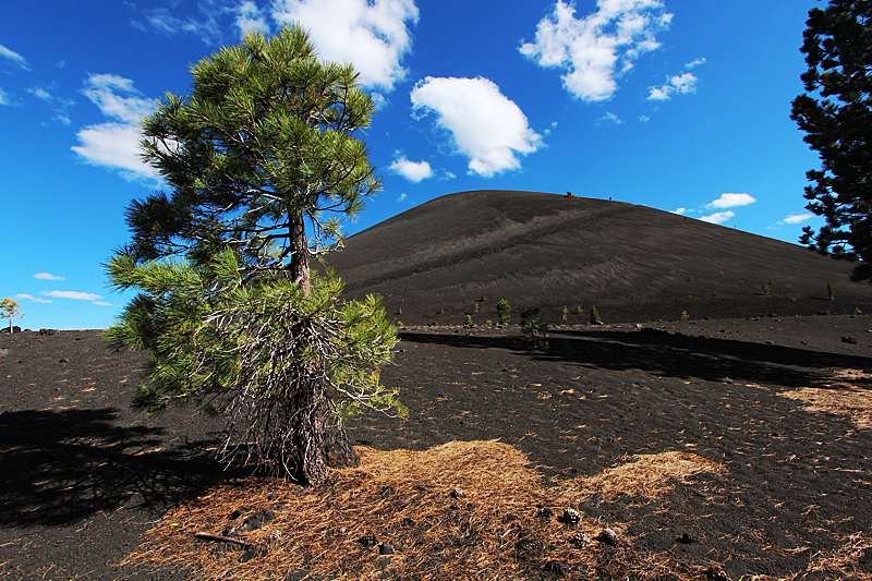 Cinder Cone und Painted Dunes Fantastic Lava Beds [Lassen Volcanic National Park]