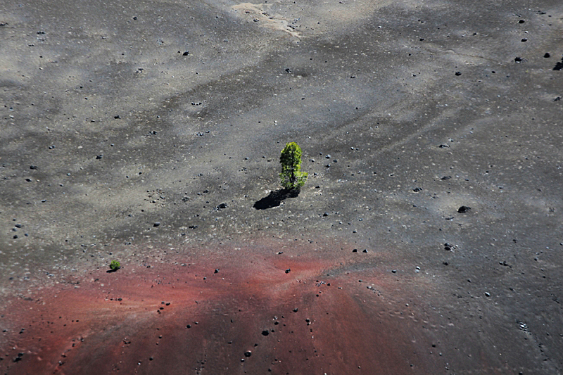 Cinder Cone und Painted Dunes Fantastic Lava Beds [Lassen Volcanic National Park]
