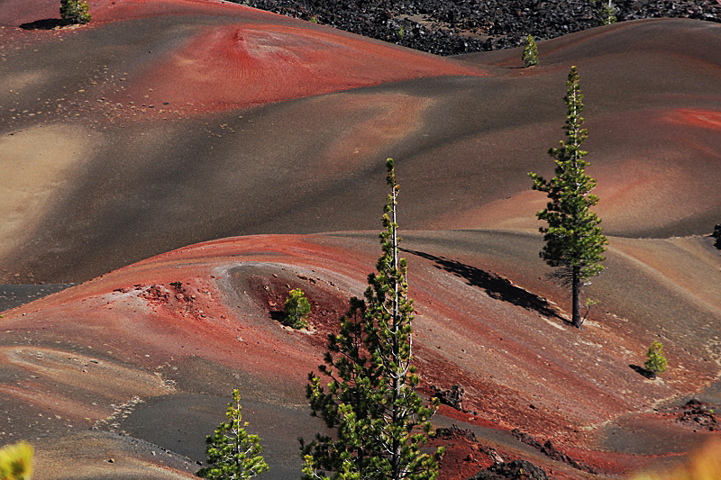 Cinder Cone und Painted Dunes Fantastic Lava Beds [Lassen Volcanic National Park]