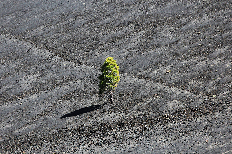 Cinder Cone und Painted Dunes Fantastic Lava Beds [Lassen Volcanic National Park]