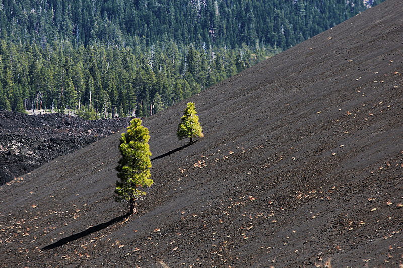 Cinder Cone und Painted Dunes Fantastic Lava Beds [Lassen Volcanic National Park]