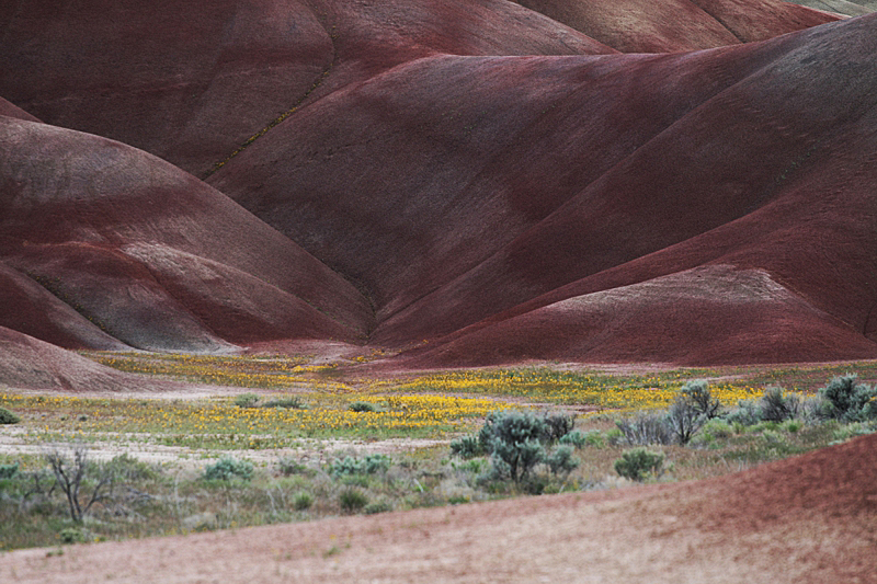 Painted Hills [John Day Fossil Beds National Monument]