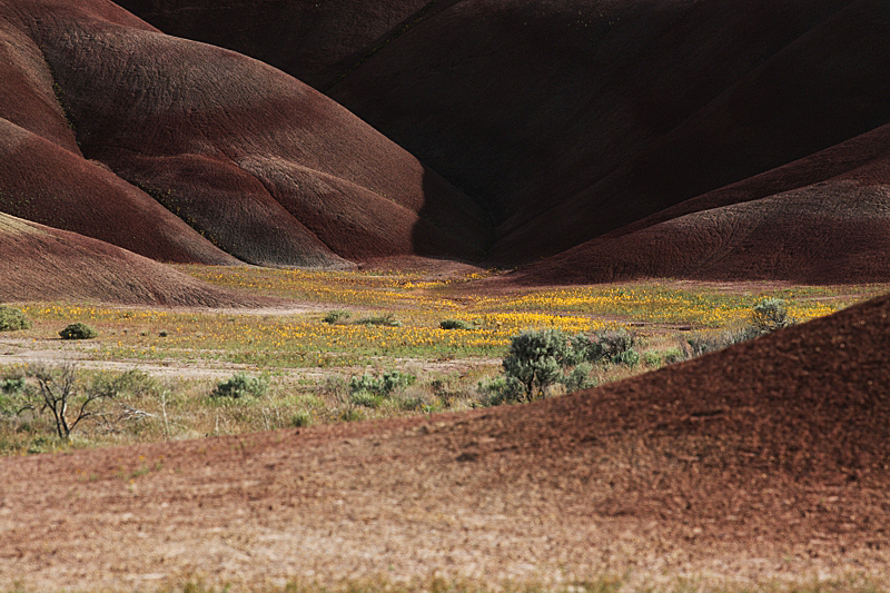 Painted Hills [John Day Fossil Beds National Monument]