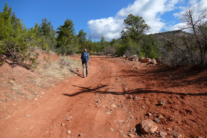 Paliza Goblin Colony [Santa Fe National Forest]