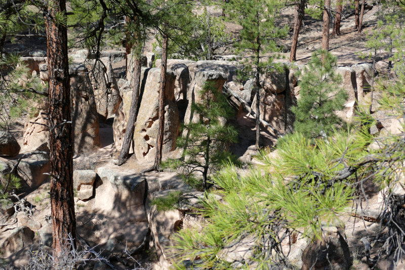 Paliza Goblin Colony [Santa Fe National Forest]