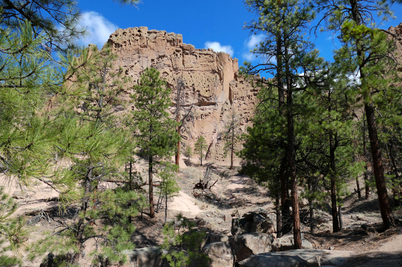 Paliza Goblin Colony [Santa Fe National Forest]