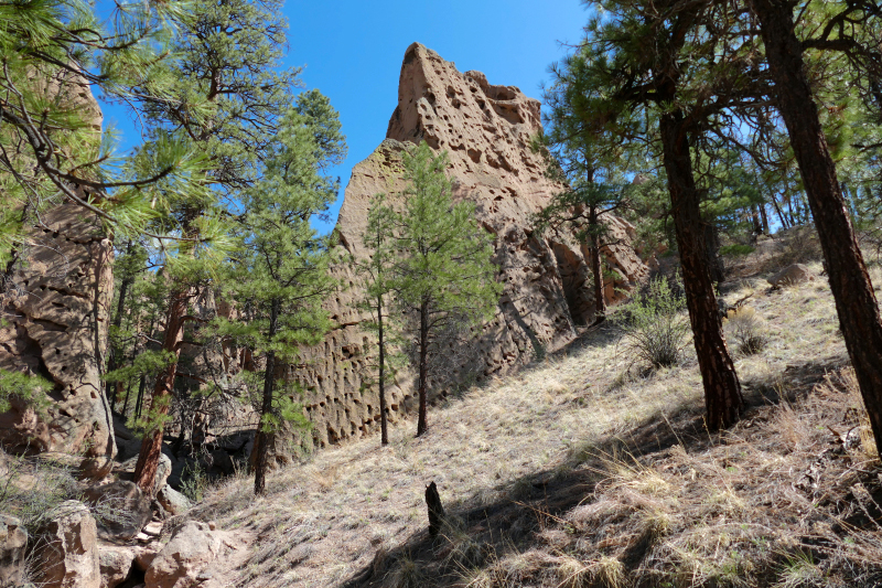 Paliza Goblin Colony [Santa Fe National Forest]