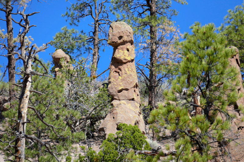 Paliza Goblin Colony [Santa Fe National Forest]