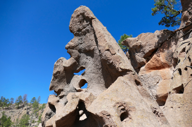 Paliza Goblin Colony [Santa Fe National Forest]