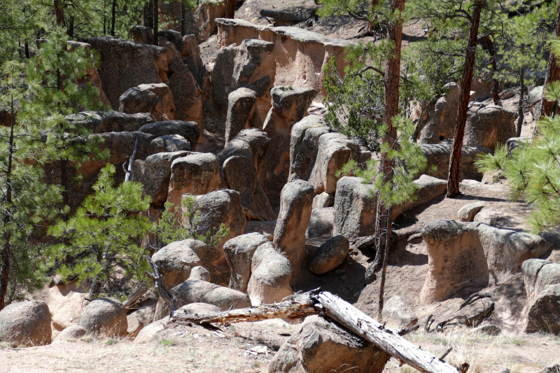 Paliza Goblin Colony [Santa Fe National Forest]