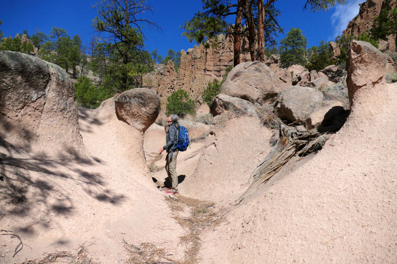 Paliza Goblin Colony [Santa Fe National Forest]
