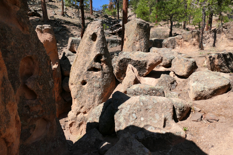 Paliza Goblin Colony [Santa Fe National Forest]