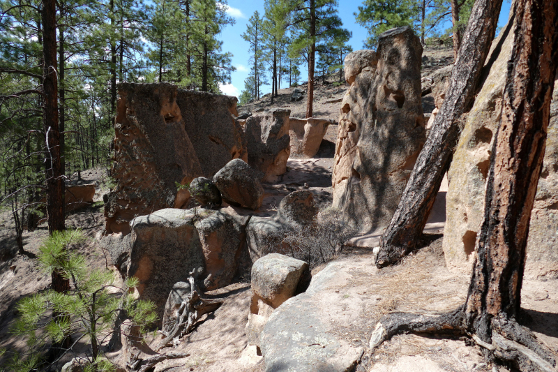Paliza Goblin Colony [Santa Fe National Forest]
