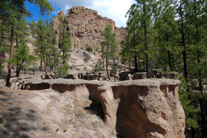 Paliza Goblin Colony [Santa Fe National Forest]