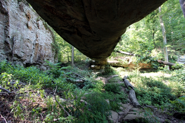 Pomona Natural Bridge