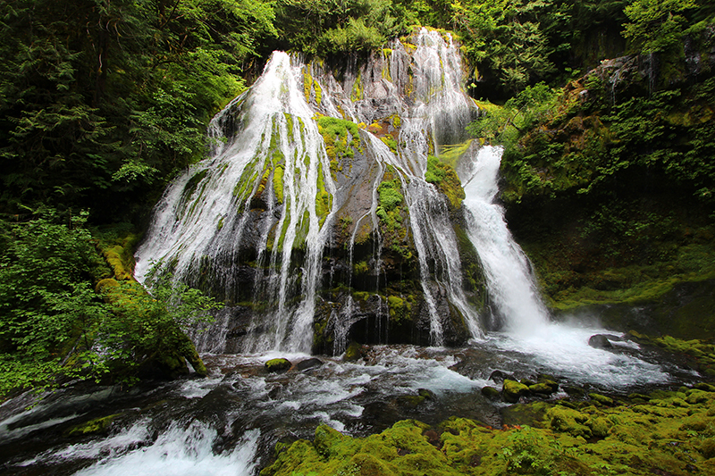 Panther Creek Falls [Gifford Pinchot National Forest]