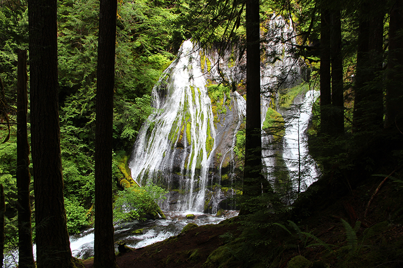 Panther Creek Falls Washington State