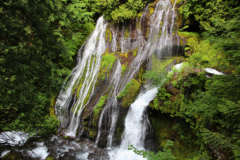 Panther Creek Falls Washington State