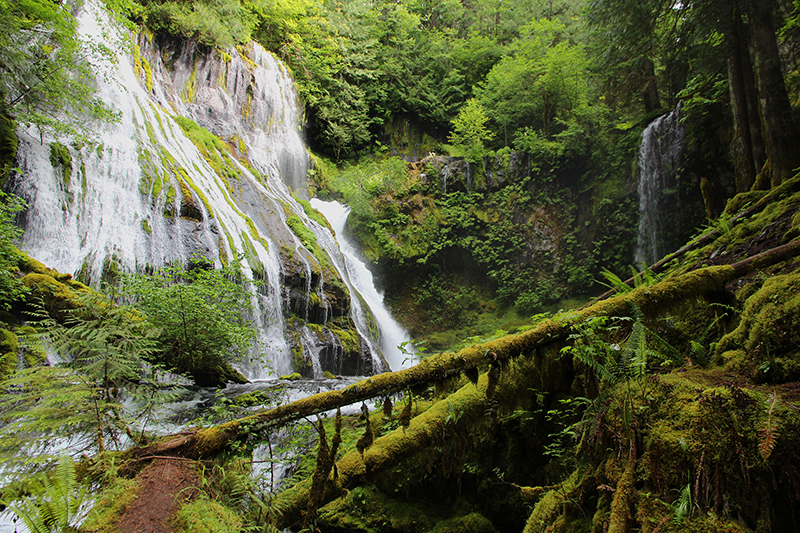 Panther Creek Falls Washington State