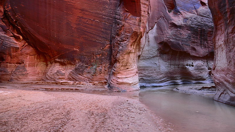 Paria Canyon to Confluence Buckskin Gulch