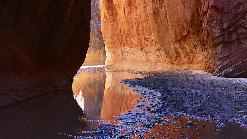 Paria Canyon to Confluence Buckskin Gulch