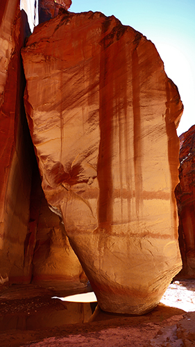 Paria Canyon to Confluence Buckskin Gulch