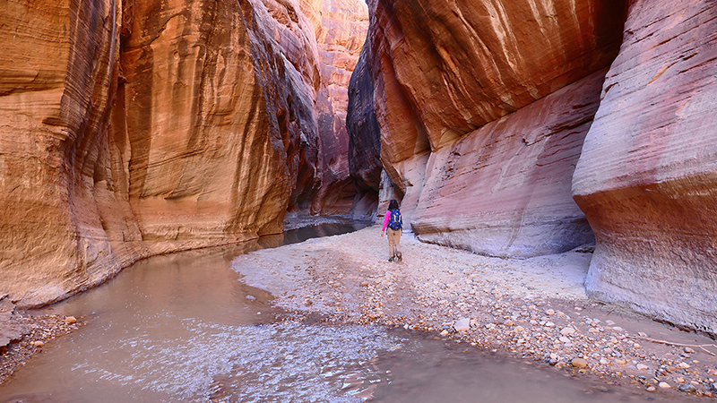 Paria Canyon to Confluence Buckskin Gulch