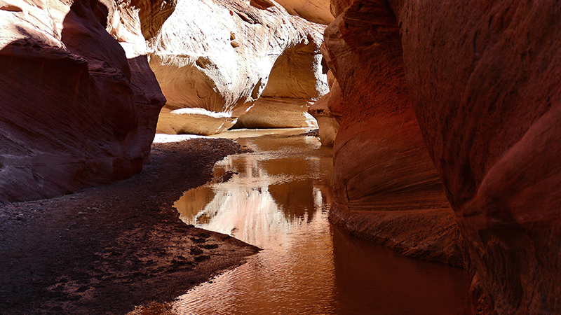 Paria Canyon to Confluence Buckskin Gulch