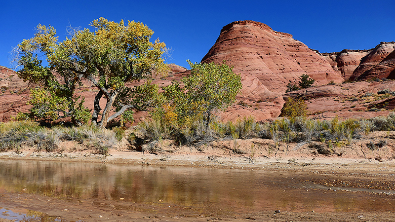 Paria Canyon to Confluence Buckskin Gulch