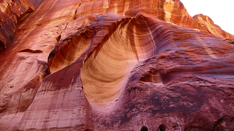 Paria Canyon to Confluence Buckskin Gulch