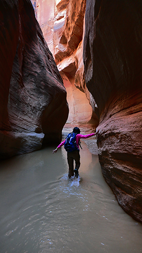 Paria Canyon to Confluence Buckskin Gulch