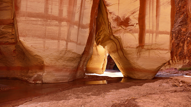 Paria Canyon to Confluence Buckskin Gulch