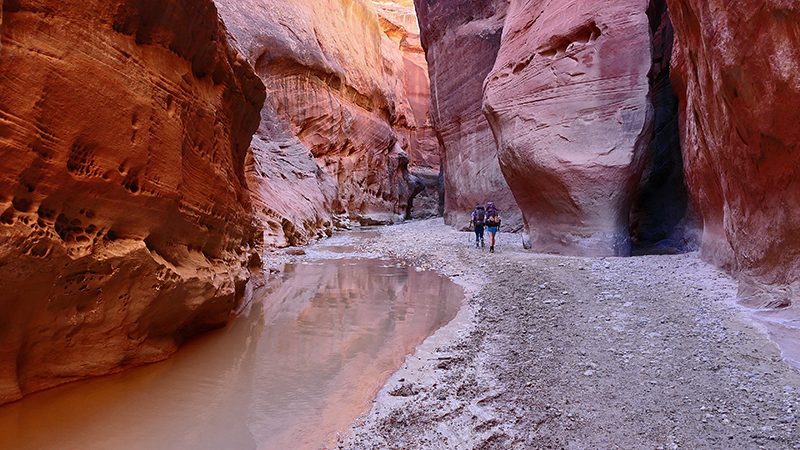 Paria Canyon to Confluence Buckskin Gulch