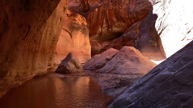 Paria Canyon to Confluence Buckskin Gulch