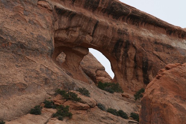 Partition Arch [South and North]