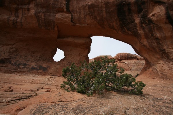 Partition Arch [South and North]
