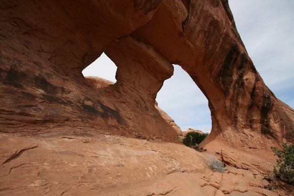 Partition Arch [South and North]