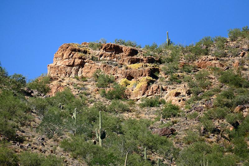 Pass Mountain Trail [Goldfield Mountains]