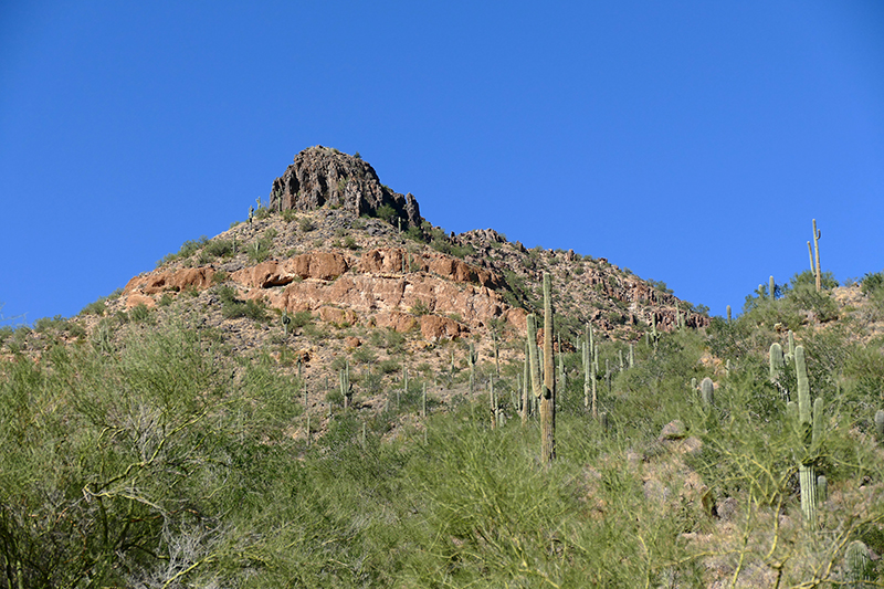 Pass Mountain Trail [Goldfield Mountains]